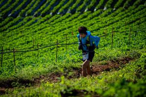 BIB: 
                            <button type="button" onclick="openModal(19160830)" class="btn btn-primary btn-sm float-right btn-popup" data-toggle="modal" data-target=".modal-high-quality">
                        <i class="fas fa-shopping-cart"></i> Add to Cart
                    </button>
                                            <button type="button" onclick="isThisMe(19160830, true)" class="btn btn-success btn-sm float-right btn-popup btn-isme hidden" data-toggle="tooltip" data-placement="bottom" title="นี่คือรูปของคุณใช่ไหม คลิกที่นี่เพื่อเอาเข้าอัลบั้ม">
                        <i class="fas fa-plus"></i> Add to album
                    </button>
                    <button type="button" onclick="isThisMe(19160830, false)" class="btn btn-warning btn-sm float-right btn-popup btn-isnotme hidden">
                        <i class="fas fa-ban"></i> Remove from album
                    </button>